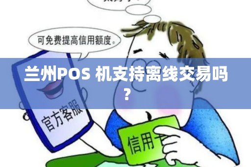兰州POS 机支持离线交易吗？