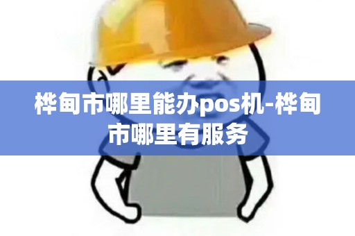 桦甸市哪里能办pos机-桦甸市哪里有服务 桦甸市哪里能办pos机-桦甸市哪里有服务