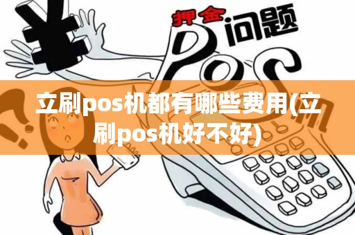 立刷pos机都有哪些费用(立刷pos机好不好)