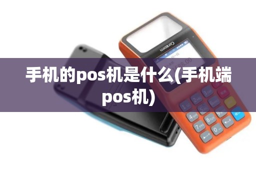 手机的pos机是什么(手机端pos机)