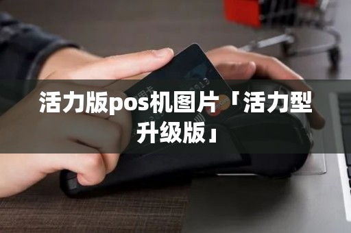 活力版pos机图片「活力型升级版」 活力版pos机图片「活力型升级版」