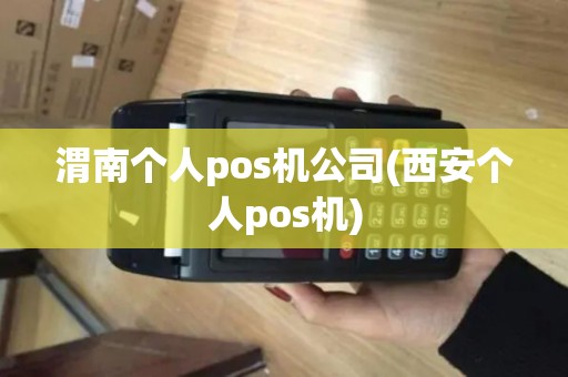 渭南个人pos机公司(西安个人pos机) 渭南个人pos机公司(西安个人pos机)