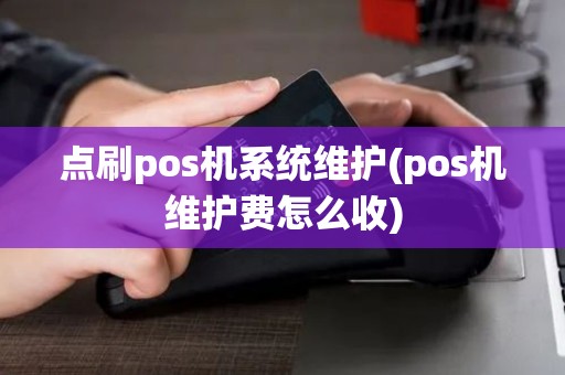 点刷pos机系统维护(pos机维护费怎么收)