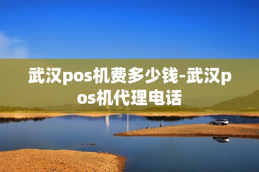 武汉pos机费多少钱-武汉pos机代理电话
