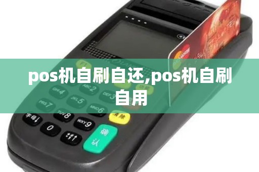 pos机自刷自还,pos机自刷自用