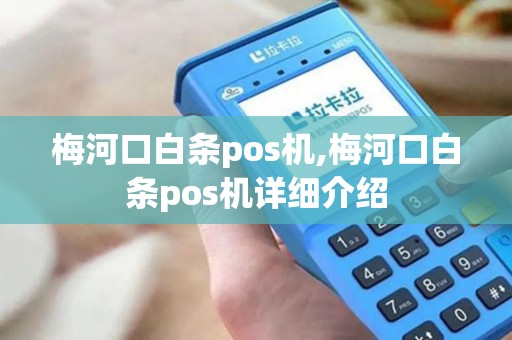 梅河口白条pos机,梅河口白条pos机详细介绍