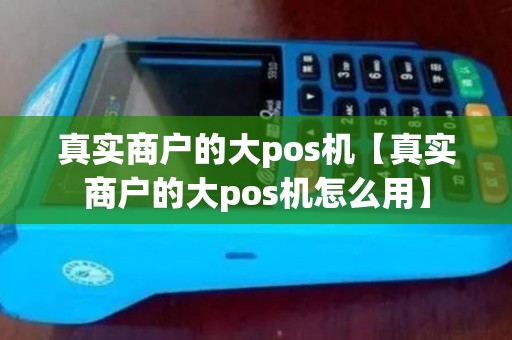 真实商户的大pos机【真实商户的大pos机怎么用】
