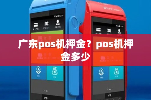 广东pos机押金?pos机押金多少 广东pos机押金?pos机押金多少
