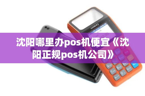 沈阳哪里办pos机便宜《沈阳正规pos机公司》