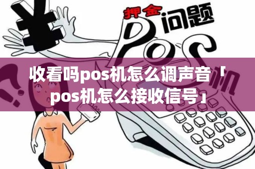 收看吗pos机怎么调声音「pos机怎么接收信号」 收看吗pos机怎么调声音「pos机怎么接收信号」